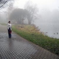 Туман на речке Городне. :: Борис Бутцев
