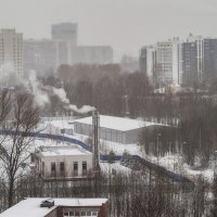 Предзимняя мгла :: Юрий Велицкий