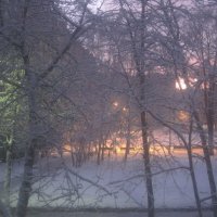 Зимним снежным утром :: Елена Семигина