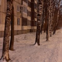Подготовка к зиме :: Наталья Герасимова