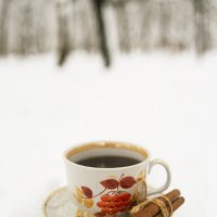 Зимний чай :: Яна Горбунова