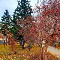 Осень в Пушкинском сквере :: марина ковшова 