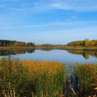 Смоленская осень. :: Милешкин Владимир Алексеевич 