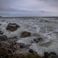Японское море штормит :: Лариса Крышталь 