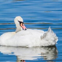 Фото на память :: Владимир Савельев