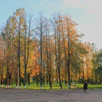 Осень :: Сергей Кочнев