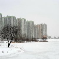 Зима в Купчино :: Наталья Герасимова