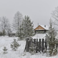 Поздняя осень. Илим :: Роман Пацкевич