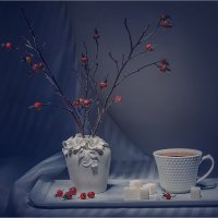 чай с шиповником :: Svetlana Galvez