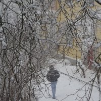 Снегопад :: Татьяна 