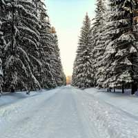 Дорога к Арсеналу в Александровском парке ЦС :: Сергей 