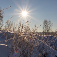 Мороз и солнце ... :: Анатолий. Chesnavik.