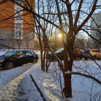 Уже на выходе из дома понял, что пришла настоящая зима :: Андрей Лукьянов