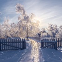 Наша зима. :: Сергей Мартьяхин