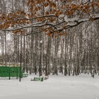 Зима, Исчезли серые тона :: Игорь Сикорский