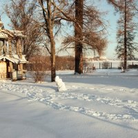 Мороз и солнце. :: веселов михаил 