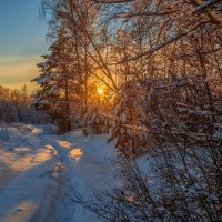Декабрь, солнце и мороз 04 :: Андрей Дворников