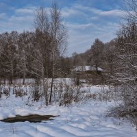 Снег выпал только в декабре :: Мила Раменская (Забота)
