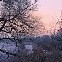 Вечер над замёрзшим ручьём :: Евгений Кочуров