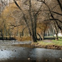 Осенний сон. :: barsuk lesnoi