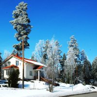 Зимний день в Финляндии :: ГЕНРИХ 