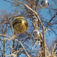 В ожидании Нового года :: Galina Solovova