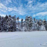 Природа Швеции лесное озеро :: wea *