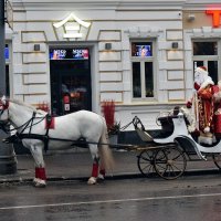 Вот и готовь сани летом... :: Татьяна Помогалова