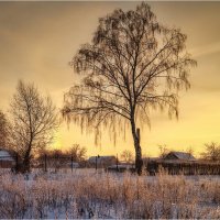 "Зимнее сияние вечера"© :: Владимир Макаров