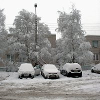Выпал снежок. :: Николай Масляев