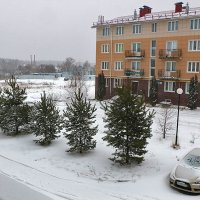Зима в разгаре :: Светлана 