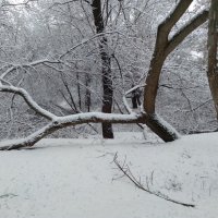 Первый снег :: Юрий Кирьянов