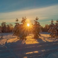 Декабрь, солнце и мороз 10 :: Андрей Дворников