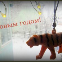 Грядёт год тигра! :: Антонина Балабанова
