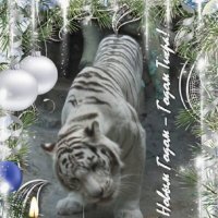 С Новым Годом - Годом Тигра! :: Дмитрий Никитин