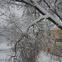 Снег в городе :: Татьяна 