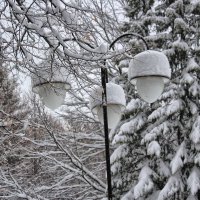 В снежных шапках фонари :: Nina Karyuk