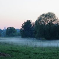 Туман над Щукинской косой :: Алла Яшникова