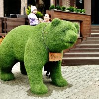 Зеленый медведь в Красной поляне :: Елена (ЛенаРа)