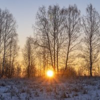 Зимний закат... :: Алексей Сметкин