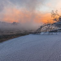 ... :: Евгений Житников