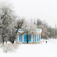На зимнем берегу Большого пруда... :: Sergey Gordoff