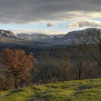 Декабрь в Крыму :: Игорь Кузьмин