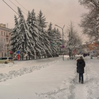 После снегопада. :: Виктор Иванович Чернюк