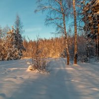 Декабрь, солнце и мороз 16 :: Андрей Дворников