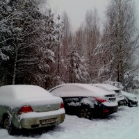 после снегопада :: Владимир 