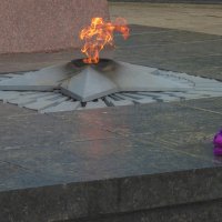 Вечный  огонь в Гагаринском  паркн :: Валентин Семчишин