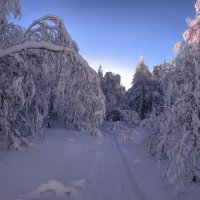 Зимняя дорога :: Vladimbormotov 