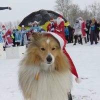 Костюмированный забег Дедов Морозов и Снегурочек на 2022 метра :: Валерия Яскович