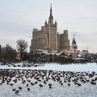 Московский Зоопарк в декабре... :: Наташа *****